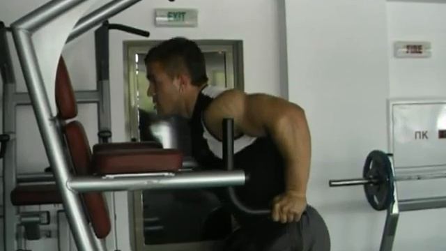 Dips