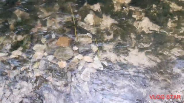Pirat Underwater