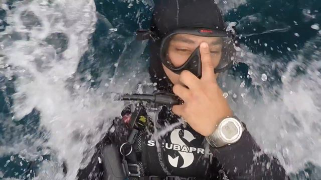 July 2015 Diving