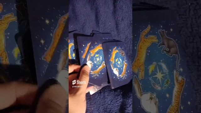 тебе послание.mp4