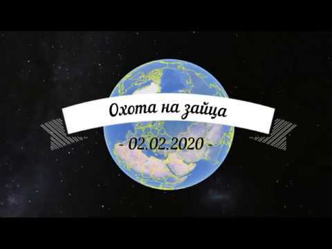 Охота на зайца 02.02.2020