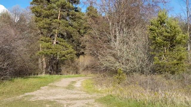 На пляже в Курорте 14.05.2020. Сестрорецкие будни