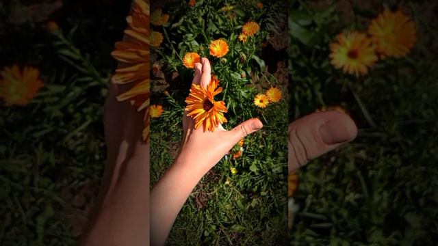 Моментик природы🌿