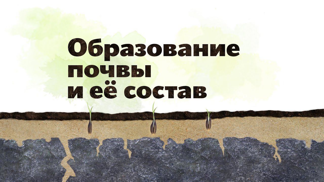 19. Образование почвы. Окружающий мир - 2 класс