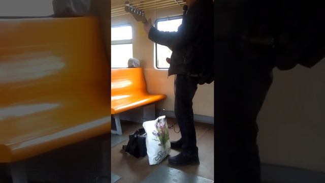 Музыкант в электричке