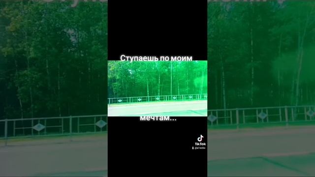 Ступаешь по моим мечтам