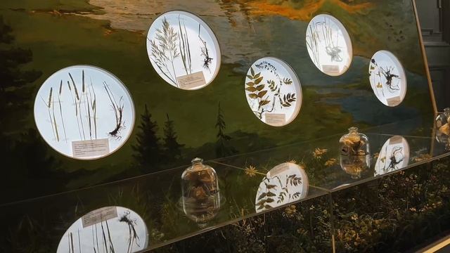 Дом Вологодского масла