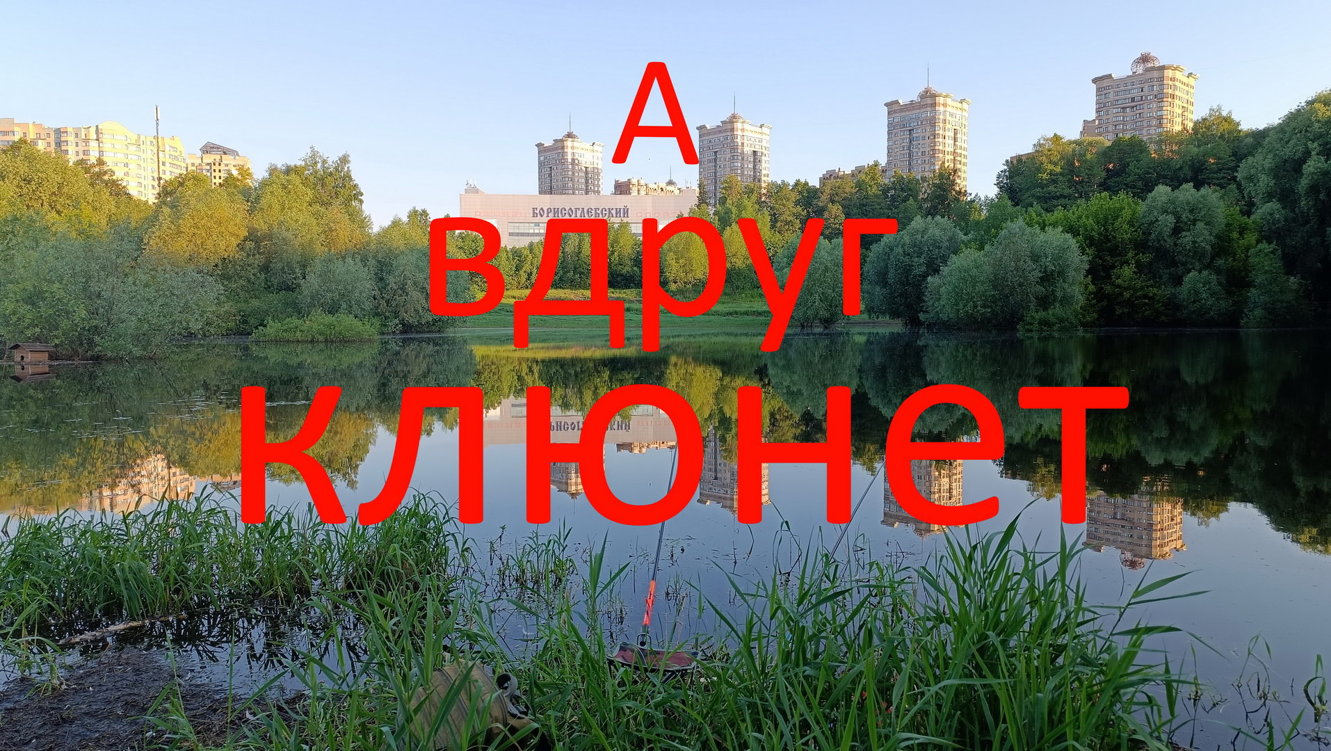А вдруг клюнет... Раменское. озеро Борисоглебское. 05.06.2024.