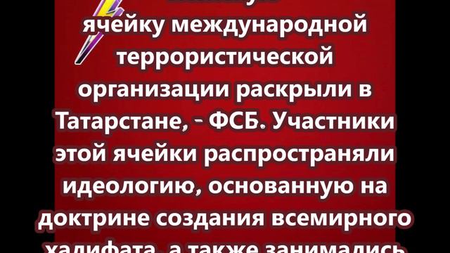 Женскую ячейку международной террористической организации раскрыли в Татарстане