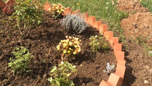 Как сделать клумбу своими руками просто и недорого Клумба из кирпича