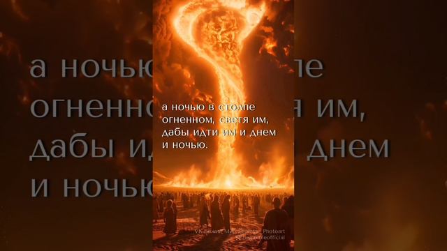 Исход #shorts