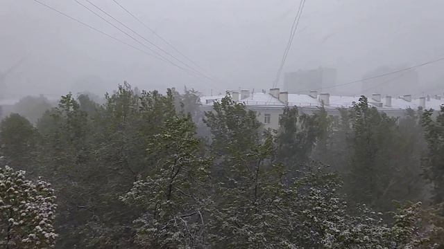 Майский снегопад в Москве 08.05.2024