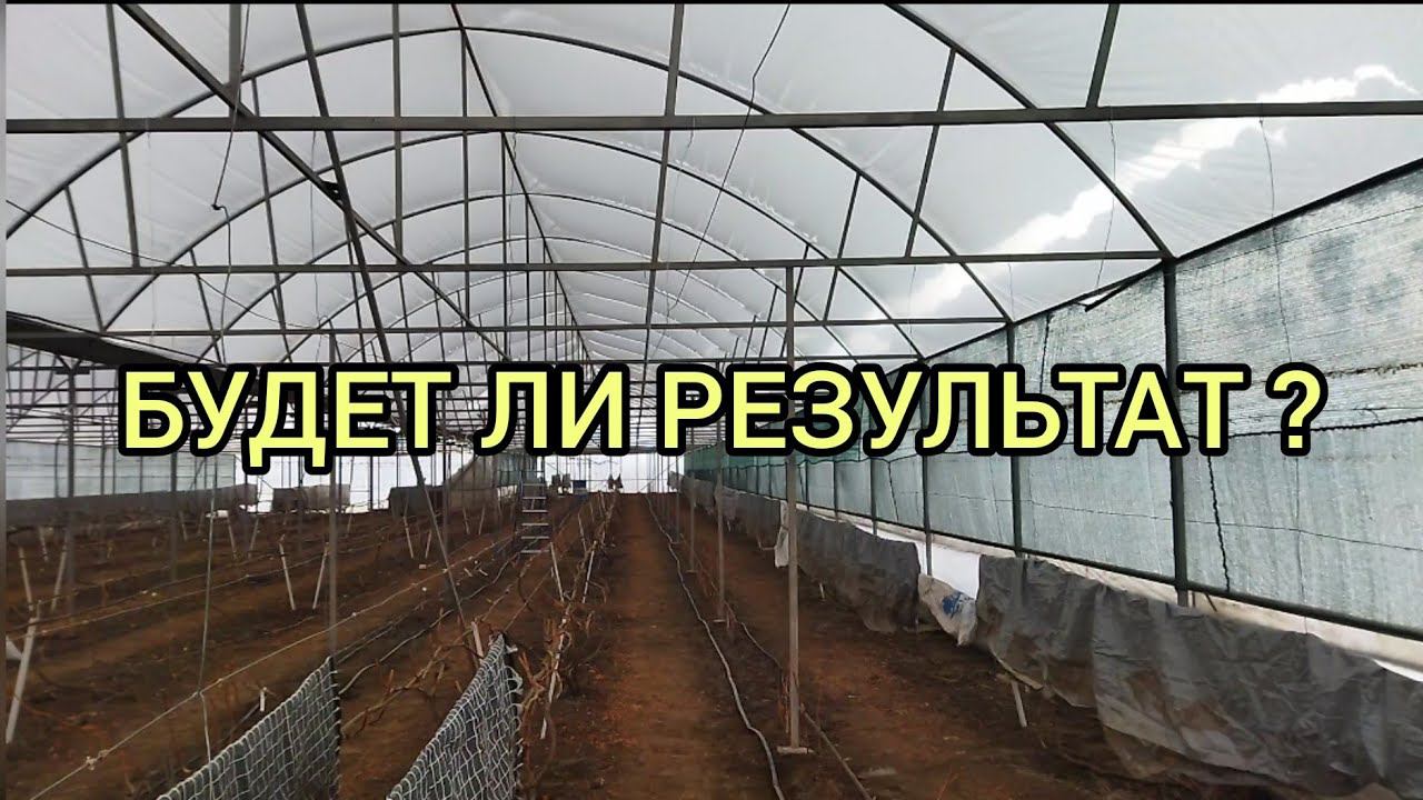 Переделка виноградных шпалер.