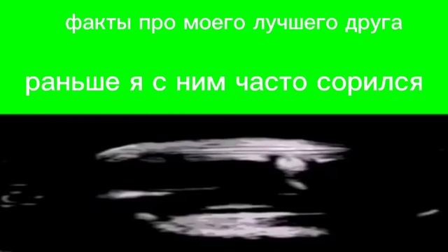 факты про моего друга