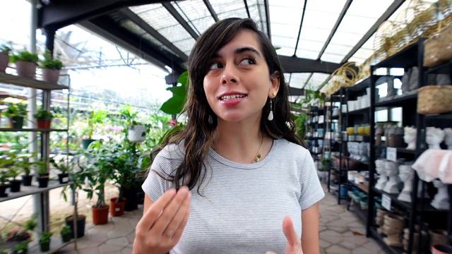 Announcing Giveaway Winner! Shipping & Wholesale Updates! Next Plant Swap??
