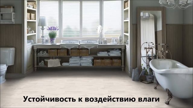 Линолеум Tarkett Absolut (Таркетт Абсолют)