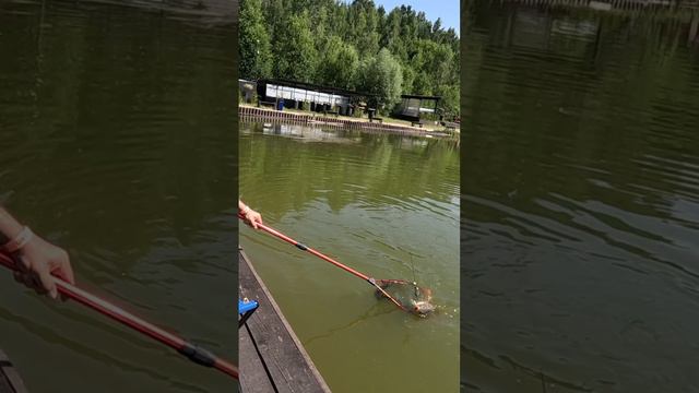 ДА БУДЕТ КЛЕВ!