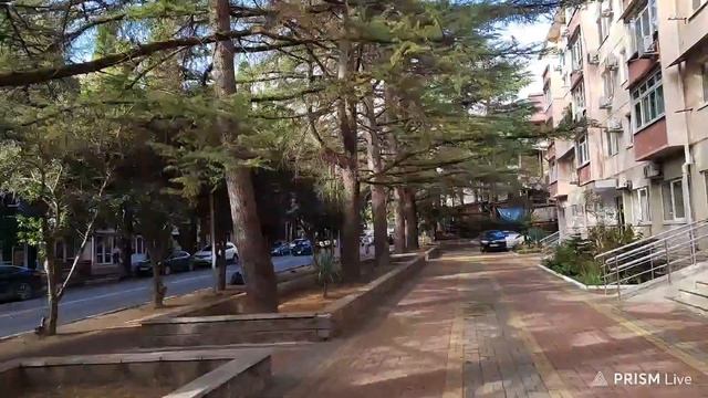 Лазаревское 29 октября. 23°, вода 18°