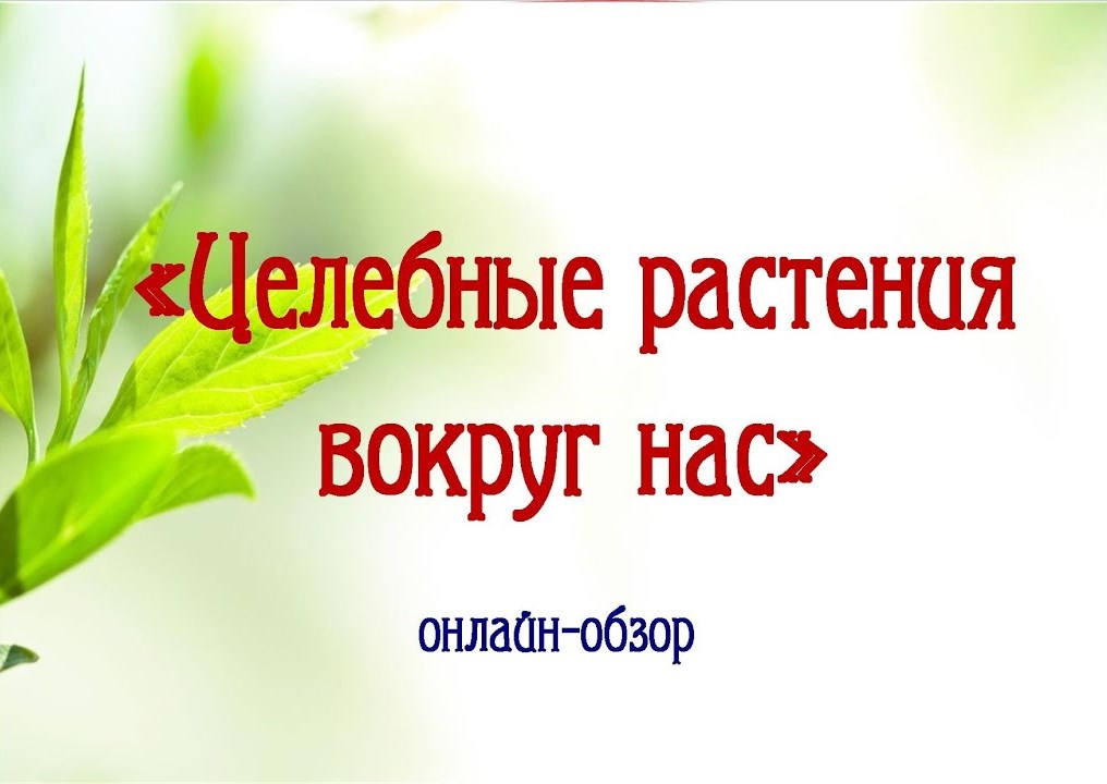 Онлайн-обзор Целебные растения вокруг нас