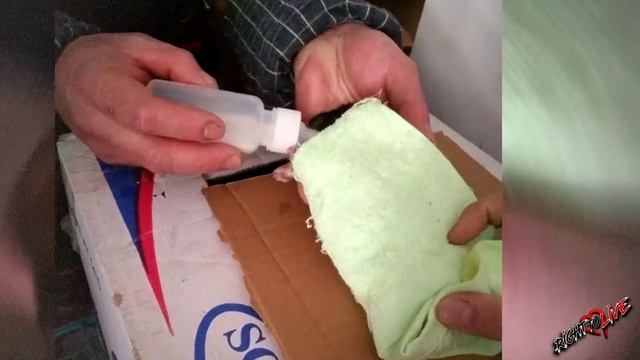 Женщина заглянула в контейнер и ужаснулась! На дне ползали крошечные новорожденные щенки!