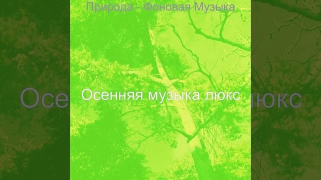 Музыка (Осень)