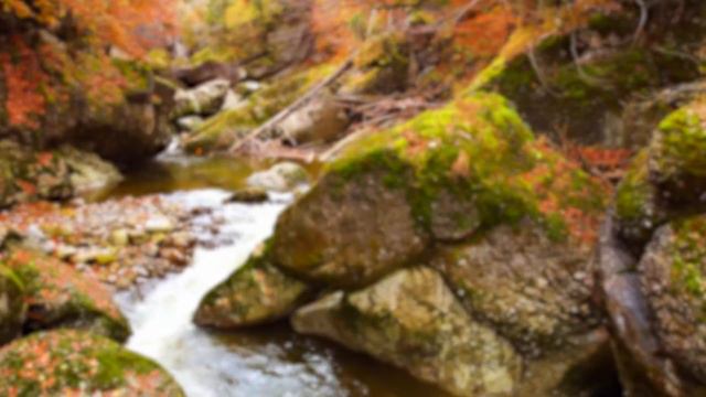 Восстанавливает нервную систему 🌿 нежная музыка успокаивает нервную систему и радует #1