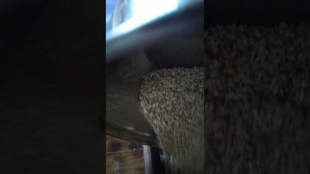 Первый запуск самодельной мельницы для помола зерна.
