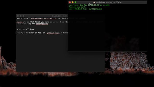 Cmd to install chrome/mozilla driver on Mac/windows