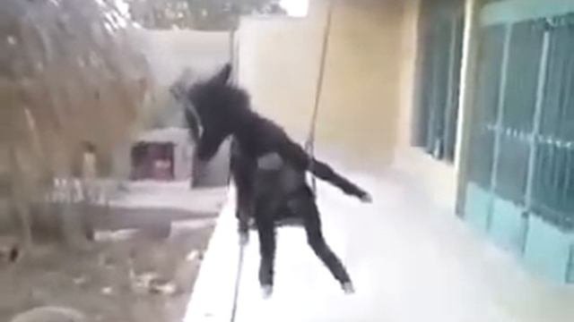 Осел на качелях