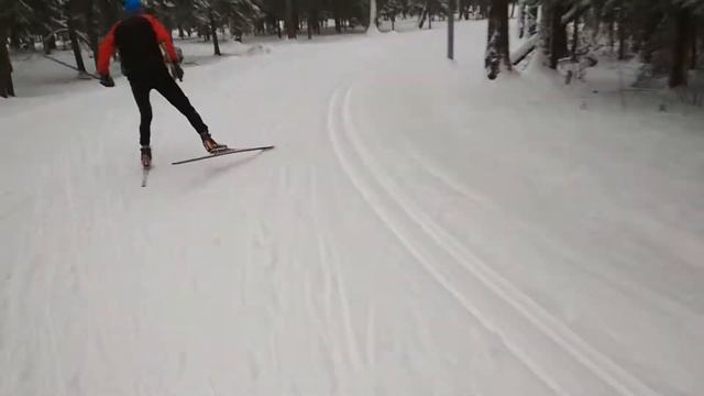 на новых  Madshus Redline