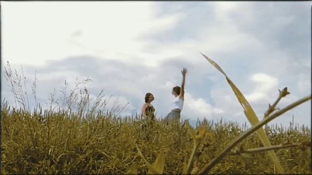 VID-20220617-WA0005.mp4