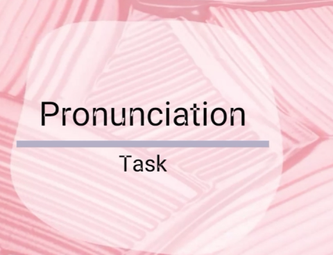 Special program for your pronunciation )