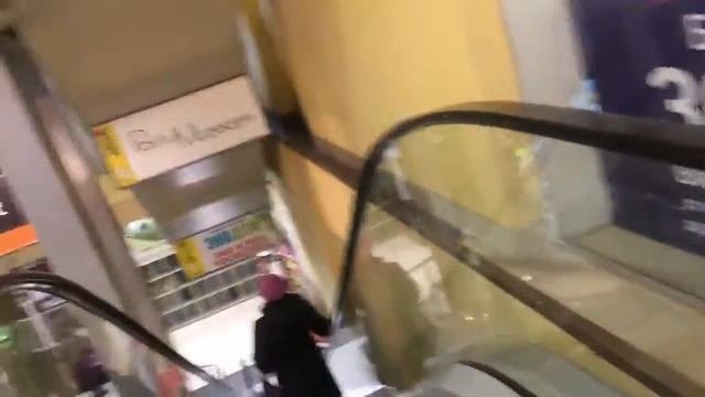 НОВЫЙ ГОД ГОТОВИМСЯ ЗАРАНЕЕ Скрытая камера AniLifeZ