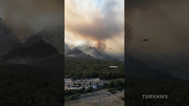 Масштаб лесного пожара в Турции