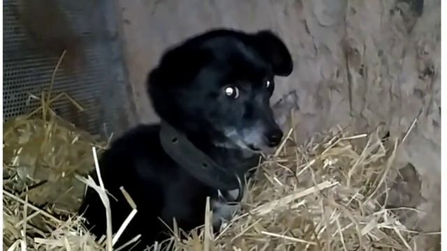 села-призраки заброшенный дом