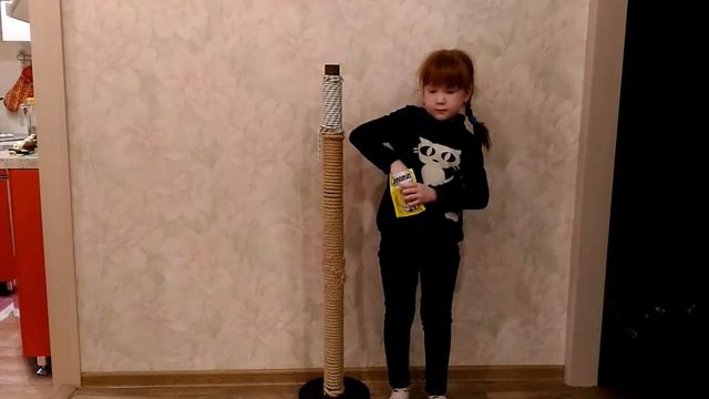 Дрессировка котенка. Команда "Наверх".