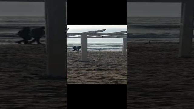 сидим на море