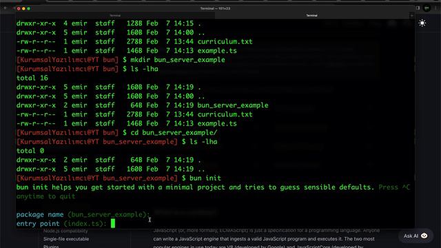 9- Bun: Yeni Javascript Runtime Environment - 1 (intro)