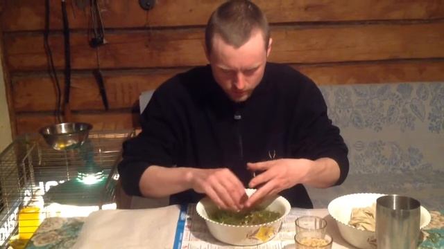Посадка огурцов на рассаду в мох