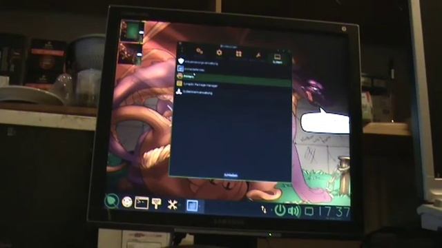 WEREWIN BodHi Ubuntu