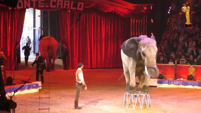 Merrylu Richter és Richter József - Állatprodukció - 42. Monte Carlo-i Cirkuszfesztivál 2018