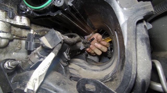 Un vehículo muy maltratado - Desmontaje inicial - Citroën C4 1.4i - 1ra parte