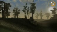 Погляд у минуле: 10 років The Elder Scrolls III: Morrowind