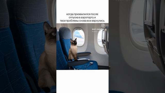 отпуск