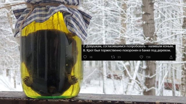 КРОТОВУХА — ЧТО ЭТО ТАКОЕ? НОВЫЙ МЕМ ИЗ ТВИТТЕРА