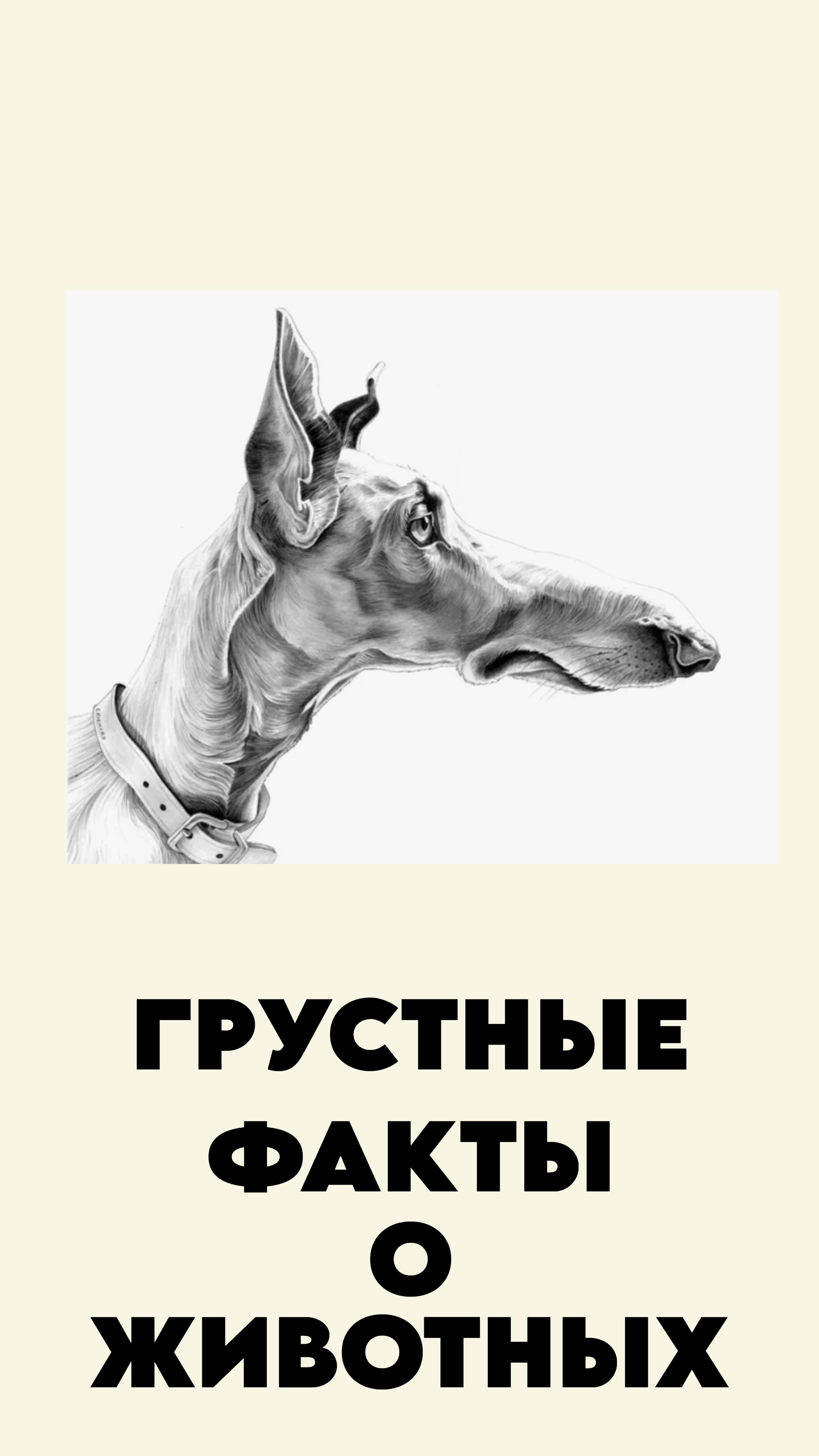 Грустные факты о животных 13