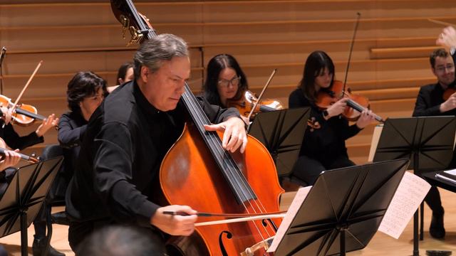 NS January 2024 Kioulaphides Black Swan Concerto