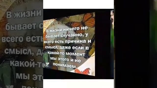 мои мысли летят