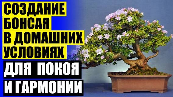 🔔 Купить декоративные цветы в горшках для интерьера ⚡ Дерево бонсай по фен шуй