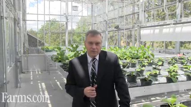 Arie Mazur New Greenhouse Research at Canada's SCPFRC